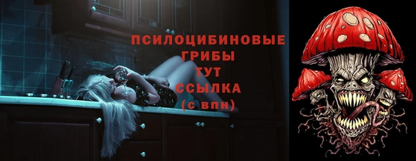 ГАЛЛЮЦИНОГЕННЫЕ ГРИБЫ Володарск