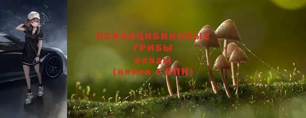 ГАЛЛЮЦИНОГЕННЫЕ ГРИБЫ Володарск